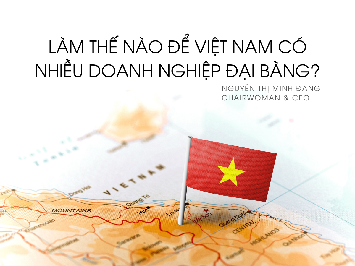 Cơ hội nào để Việt Nam có nhiều doanh nghiệp đại bàng?